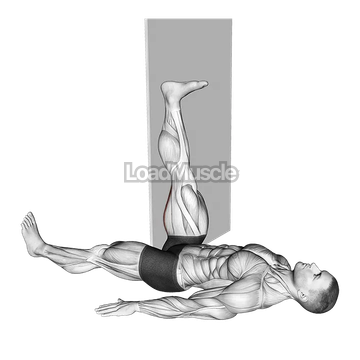 Lying Single Leg Hamstring Stretch against Wall