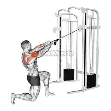 Cable Half Kneeling Face Pull