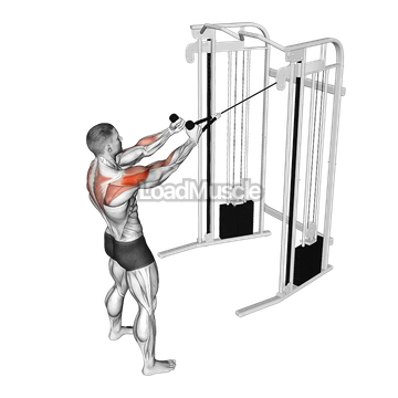 Cable Standing Supinated Face Pull (with rope)