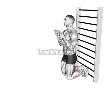 Nordic Hamstring Curl