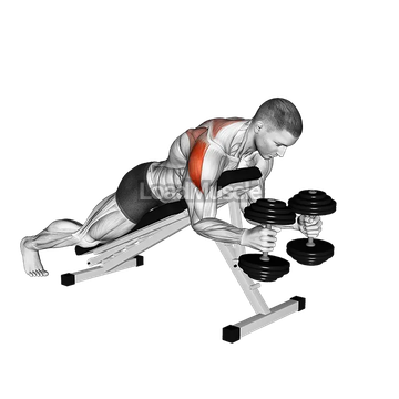Dumbbell Prone W Raise