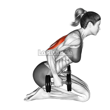 Dumbbell Kneeling Triceps Kickback