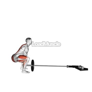 Landmine Deadlift