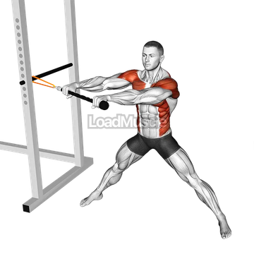 Resistance Band Wide Stance Anti Rotation Chop