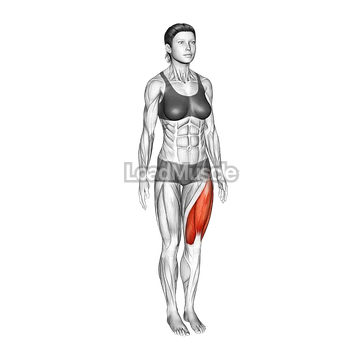 Standing Knee to Chest Stretch