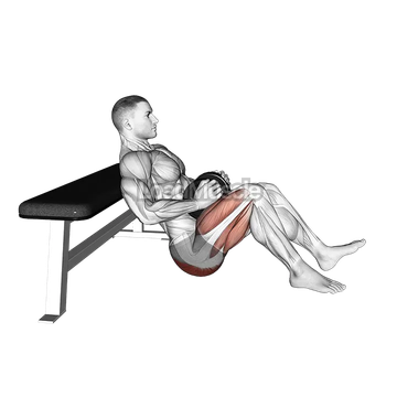 Dumbbell Single Leg Hip Thrust