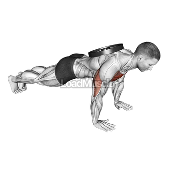 Weighted Plate Push-up