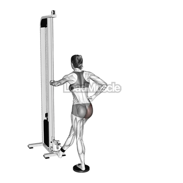 Cable Straight Leg Diagonal Kickback