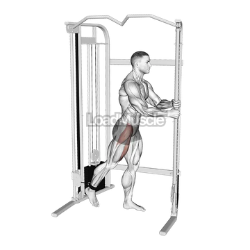 Cable Standing Hip Flexion