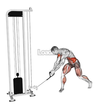 Cable Reverse Woodchop