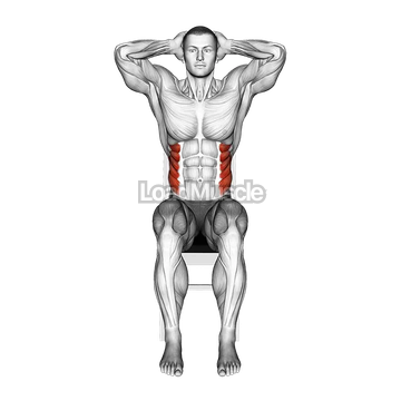 Sitting Side Bend on a chair