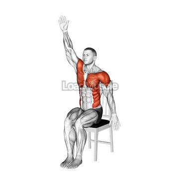 Sitting Swimmer on a Chair