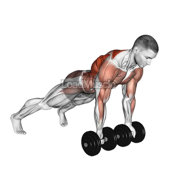 Dumbbell Underhand Renegade Row