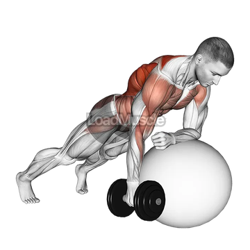 Dumbbell Renegade Row on Stability Ball