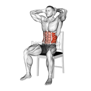 Seated Upright Twists on a Chair