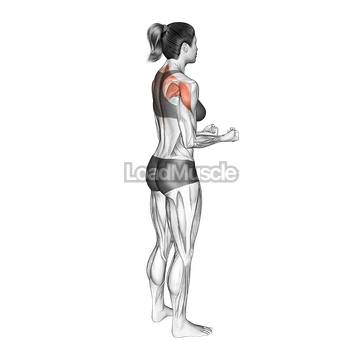 Bodyweight Standing Scapular External Rotation