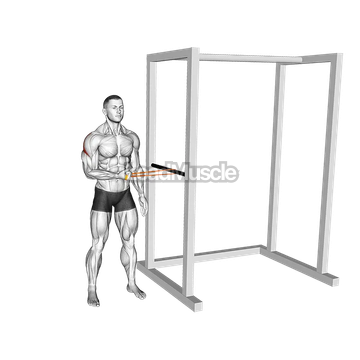 Resistance Band Standing Shoulder Extrernal Rotation