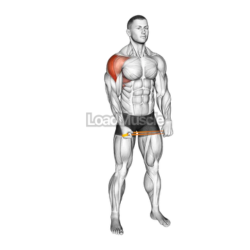 Resistance Band Standing Single Arm Lateral Raise