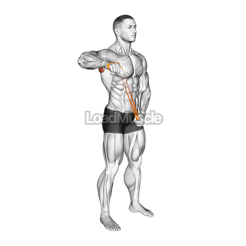 Resistance Band Standing 90 degrees Shoulder External Rotation