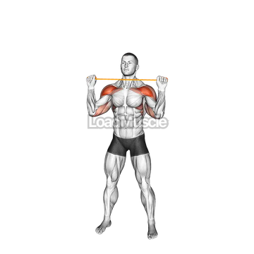 Resistance Band Overhead Shoulder Press