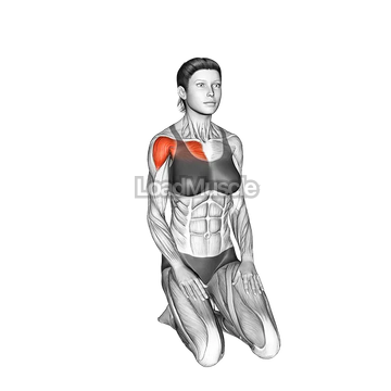 Seated Over Head Straight Arm Stretch