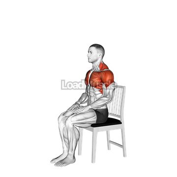 Seated Overhead Stretch on a Chair