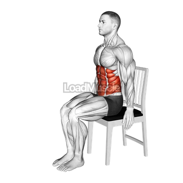 Seated Forward Bend Stretch on a Chair