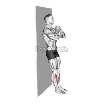 Bodyweight Tibialias Raise Wall Supported