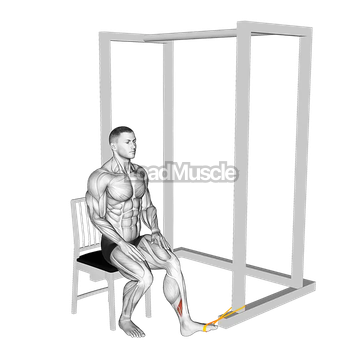 Resistance Band Seated Inversion Foot