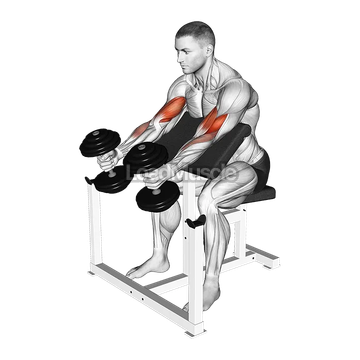 Dumbbell Preacher Swing Curl