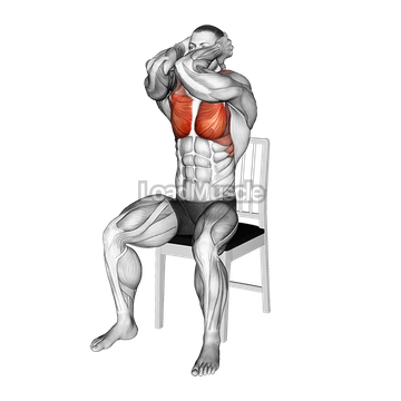Seated Elbow Chest Fly on a Chair