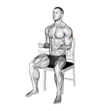 Seated External Rotation on a Chair