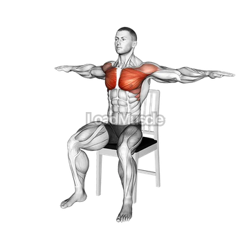 Seated Arm Crossover on a Chair