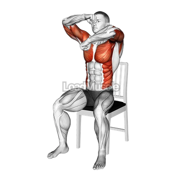 Seated Rotating Boxing Rolls on a Chair