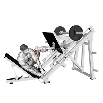 Sled Side Leg Press