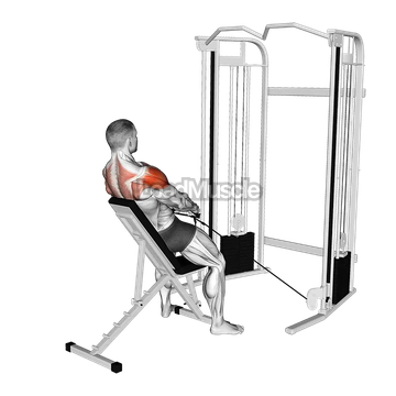 Cable Incline Y Raise with Back Support