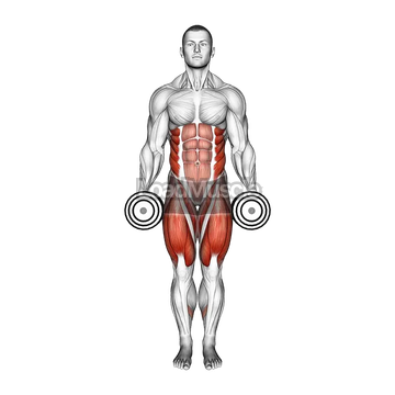 Dumbbell Curtsey Lunge