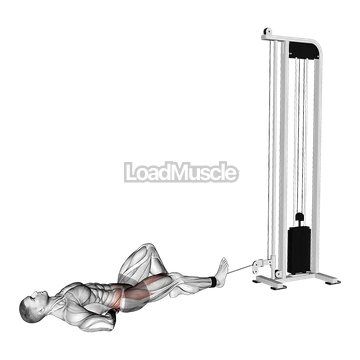 Cable Lying Single Leg Hip Flexion