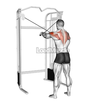 Cable 45 degrees Reverse Fly