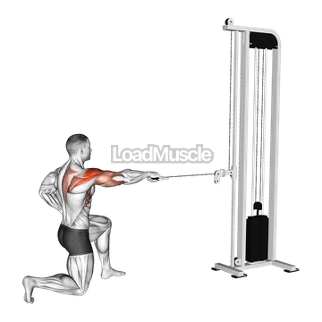 Cable Half Kneeling External Rotation Press
