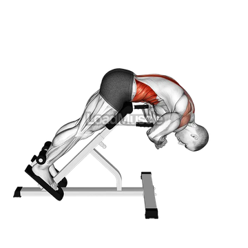 45 degrees Back Extension Scapular Adduction