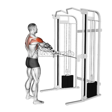 Cable Standing Y-raise