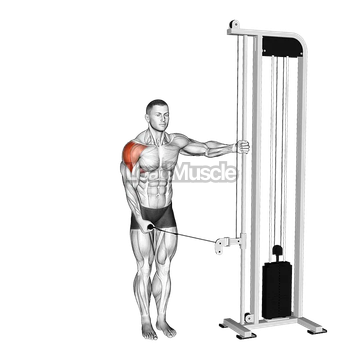 Cable Single Arm Lateral Raise