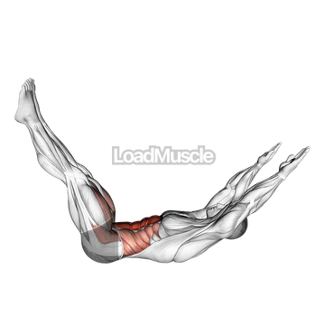 Lying Abdominal Scissors Crunch