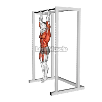 Hanging Tucked Front Lever Hold