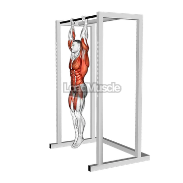 Hanging Advanced Tucked Front Lever Hold