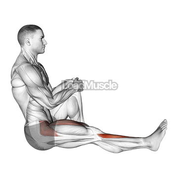 Sitting Floor Tibialis Raise