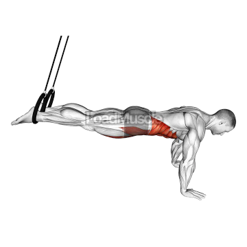 Ring Isometric Hold Reverse Ab Rollout