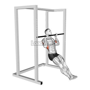 Seated Isometric Hold Pull up