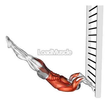 Lying Floor Negative Half Dragon Flag